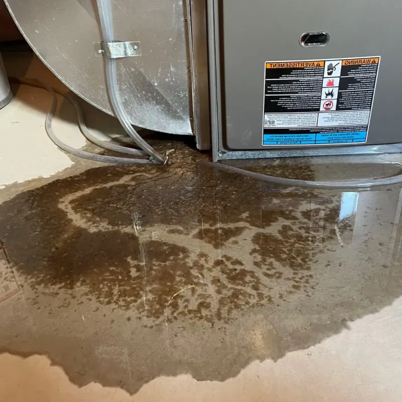 Pipe Burst and Leak Restoration in Gainesboro, TN