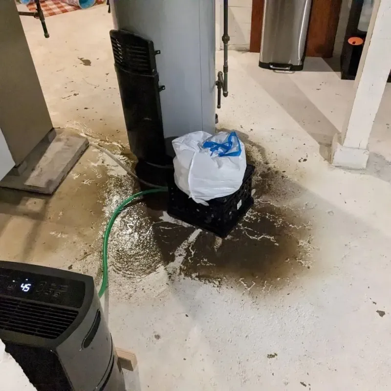 Sewage Backup Cleanup Service in Gainesboro, TN